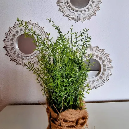 Апартаменти Seaside Escape